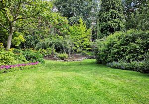 Optimiser l'expérience du jardin à La Neuville-Chant-d'Oisel